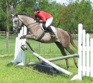 Alaskan Crown - 2001 TB mare