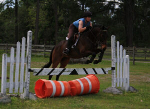 Bernie's Crypt - 2003 TB gelding