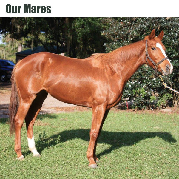 Our Mares