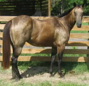 Sandy Poco Nel - 1996 Appendix mare