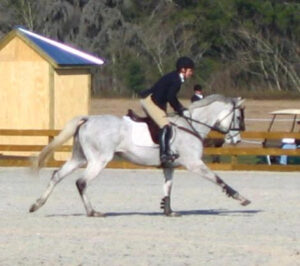 Sterling Silver - 1998 TB mare
